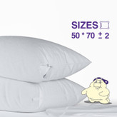 محافظ بالش آرامن