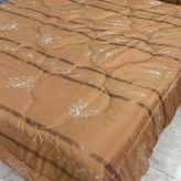 به صرفه روتختی